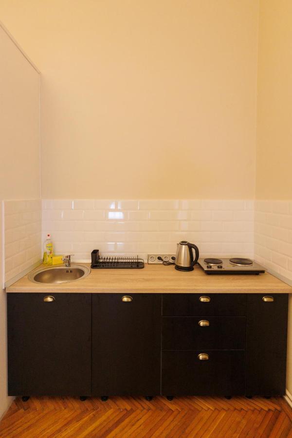 Spacious Flat In Old Town Wi-Fi Timisoara Exterior photo